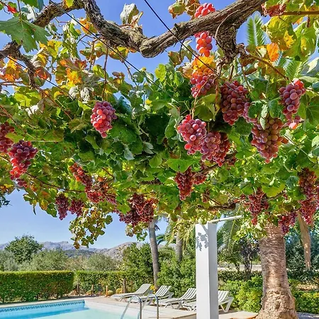 Villa Casa La Palmera Pollenca